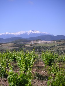 Vue sur les Pyrénées couvertes de neige